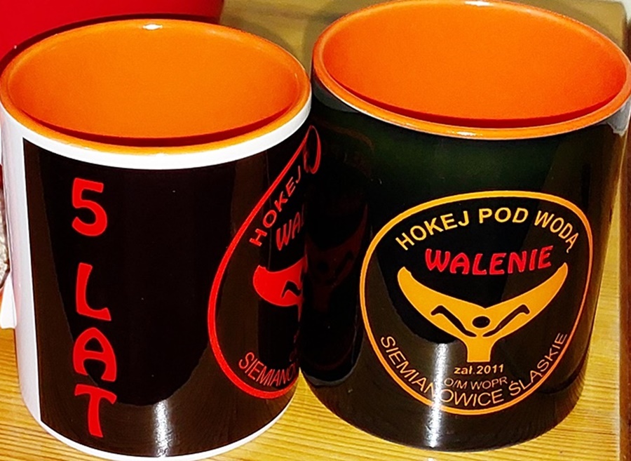 Hokej pod wodą Walenie 5 lat